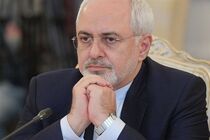 ظریف به تهران بازگشت