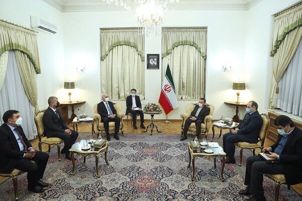 دیدار واعظی با معاون نخست وزیر آذربایجان