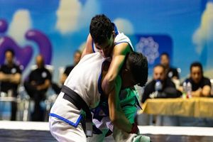  نفرات راه یافته به اردو تیم ملی  MMA مشخص شدند