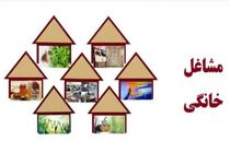 23 فقره پروانه مشاغل خانگی در نوشهر صادر شد