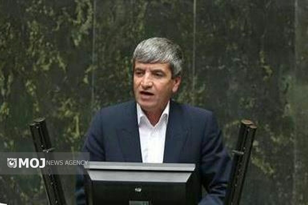 علیمحمد مرادی نماینده مجلس