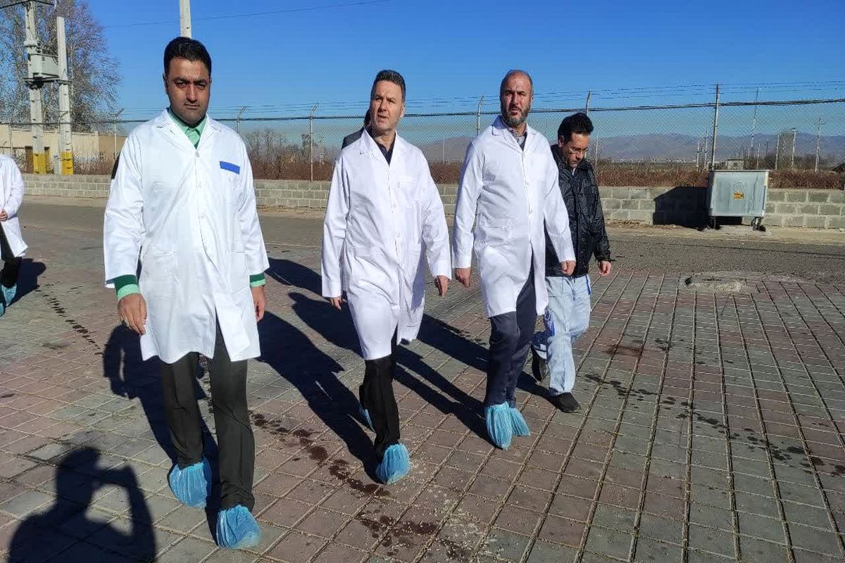 فرماندار آبیک