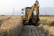 امحاء مزارع آلوده در شیراز از ۱۰۰۰ هکتار گذشت