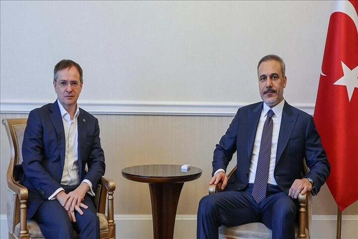 فیدان