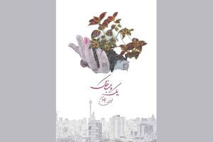 مستند «یک وجب خاک» به بخش مسابقه جشنواره فیلم چین راه پیدا کرد
