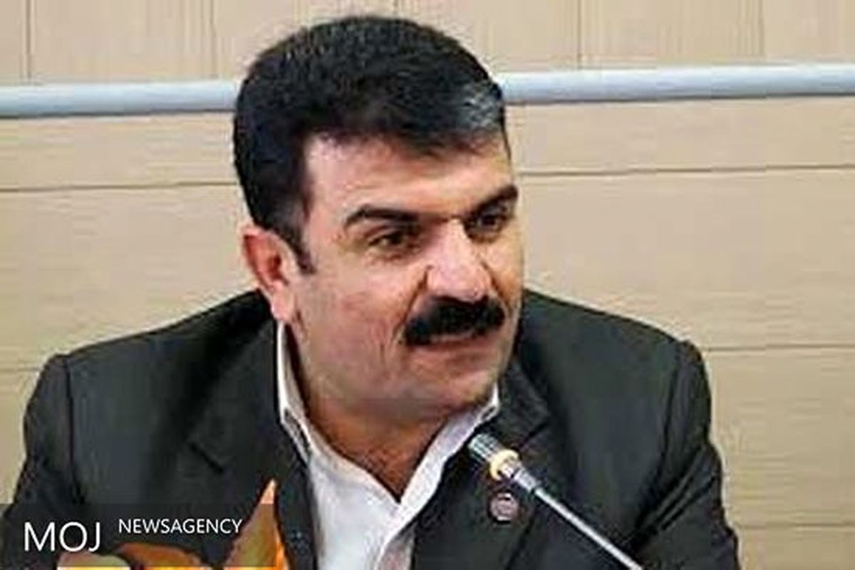 سیدجمیل احمدی