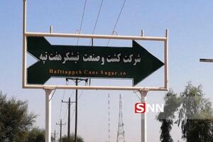 ورود سازمان تامین اجتماعی به تولید نیشکر در هفت تپه
