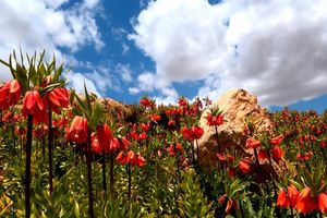 مناطق گردشگری چهارمحال و بختیاری+تصاویر