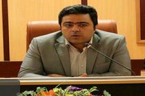 موی چایا هنری فراتر از یک سبک رزمی و در حال رشد است