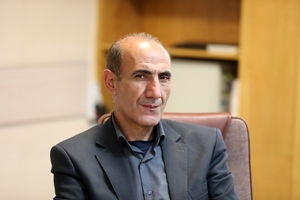 بدون حمایت از شوراها، توسعه پایدار محقق نمی‌شود