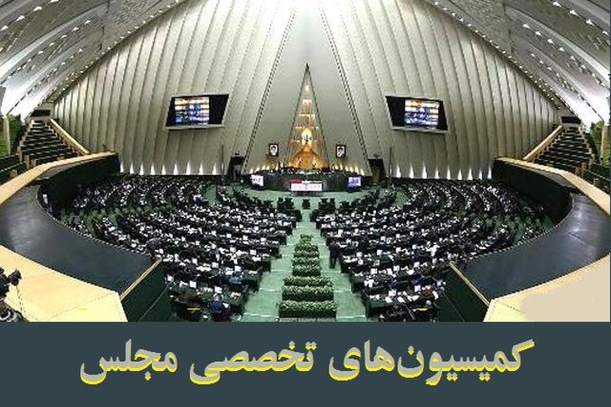 کمیسیون های تخصصی مجلس