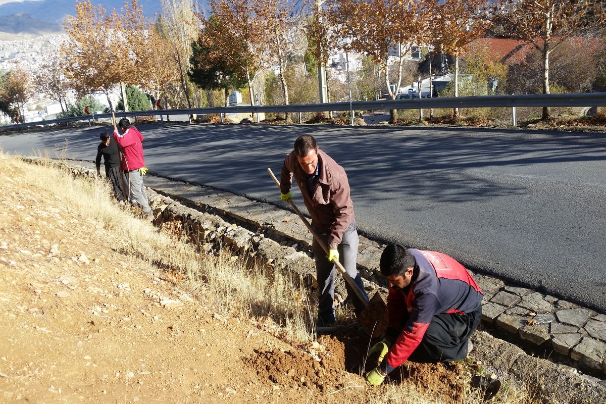 نهضت درختکاری