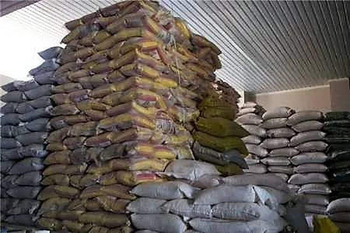 برنج قاچاق 
