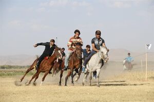 روز دوم از هفته هفتم مسابقات اسبدوانی بهاره گنبدکاووس برگزار شد