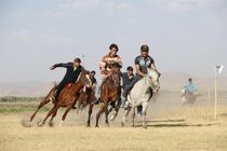 مجموعه‌های سوارکاری استان گلستان بازسازی می‌شود