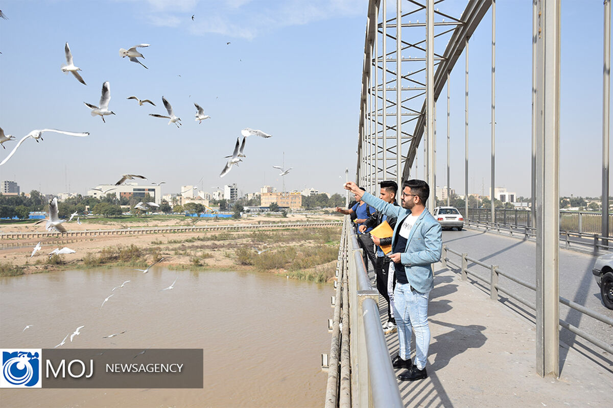 پرندگان مهاجر خوزستان