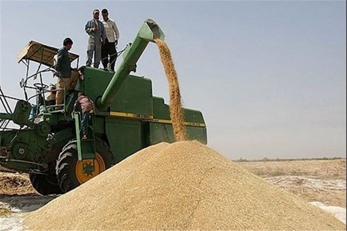 قیمت تضمینی
