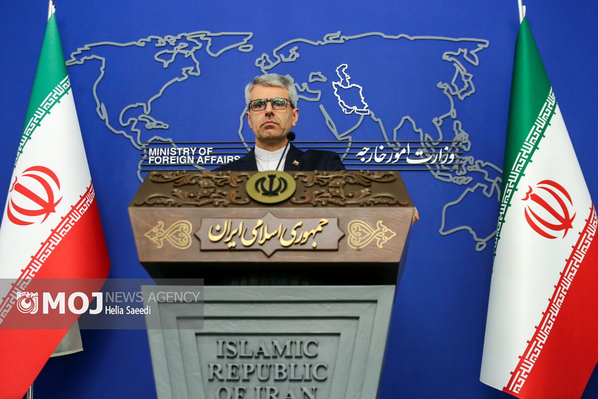 نشست خبری سخنگوی وزارت امور خارجه