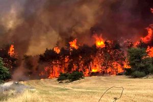 نخست‌وزیر رژیم صهیونیستی نسبت به گسترش آتش‌سوزی‌ها در قدس اشغالی هشدار داد