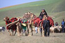اینجا هنر، سنت و فرهنگ عشایر سراسر کشور یکجا گردهم آمده‌اند