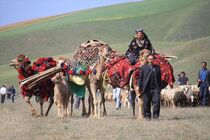 اینجا هنر، سنت و فرهنگ عشایر سراسر کشور یکجا گردهم آمده‌اند