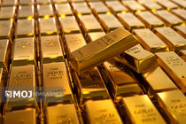 زمان ثبت سفارش پیش فروش سکه تا ساعت 14 فردا تمدید شد