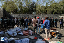 ۵۸۷ معتاد متجاهر به مراکز بازپروری مشهد منتقل شدند