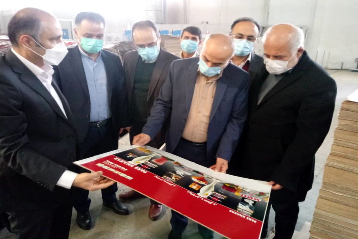 مدیرکل صمت گیلان در حاشیه بازدید از واحد‌های صنعتی