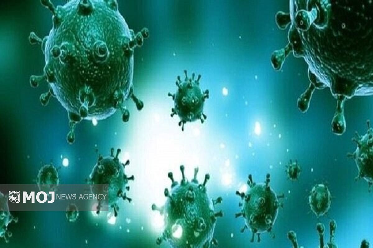 ویروس آنفولانزا رئیس دانشگاه علوم پزشکی هرمزگان