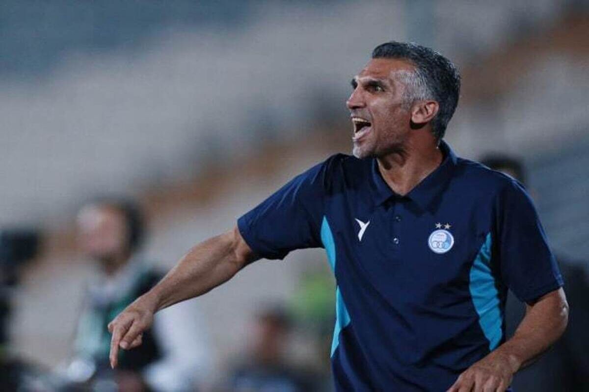 مهدی هاشمی نسب