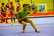 ووشوکاران هرمزگانی اردونشین باقی ماندند