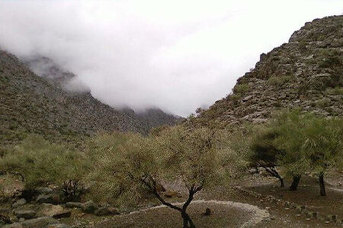 بختگان 