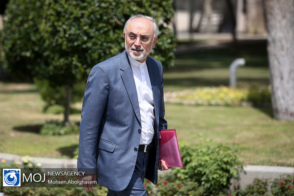 حاشیه جلسه هیات دولت - ۲۶ تیر ۱۳۹۸ / علی‌اکبر صالحی رییس سازمان انرژی اتمی