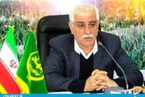 کشاورزان مازندرانی بیمه محصولات کشاورزی را سرمایه گذاری محسوب کنند