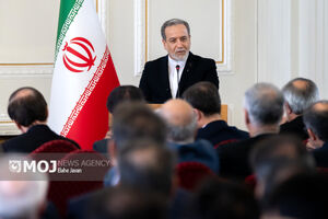 تیم دیپلماتیک ایران هماهنگ با نظام اقدام می‌کند