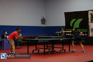 آغاز مسابقات انتخابی تیم تنیس روی میز کشور در شادگان