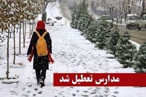موافقت با تعطیلی مدارس و دانشگاه‌ها تا 15 فروردین!؟/سلامت دانش آموزان و دانشجویان در گرو موافقت رئیس مجلس