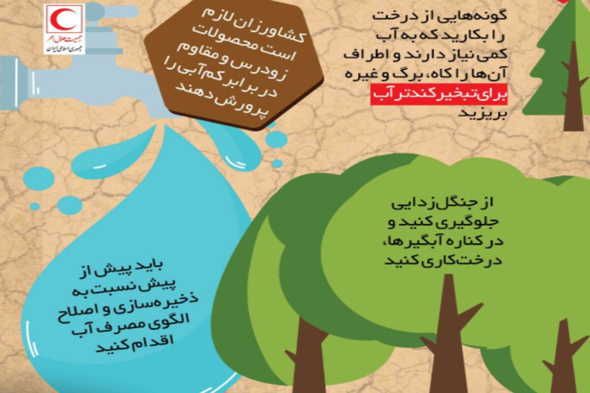 یزد