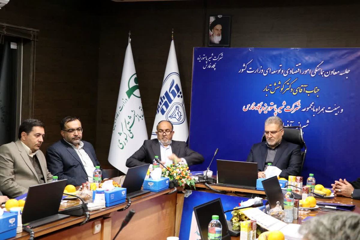 معاون هماهنگی امور اقتصادی و توسعه منطقه‌ای وزارت کشور