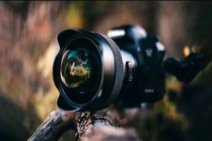 برگزاری مجمع عمومی انجمن عکاسان مطبوعاتی با حضور آلفرد یعقوب‌زاده