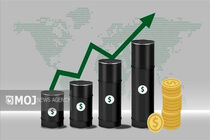 افزایش ۷ درصدی قیمت نفت  جهانی