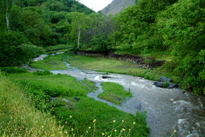 زمین‌های اوقافی و جنگل‌ها تعیین تکلیف شدند
