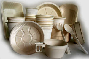 وجود ظروف یکبار مصرف گیاهی در بازار دروغی بزرگ یا محصولی نادر؟!