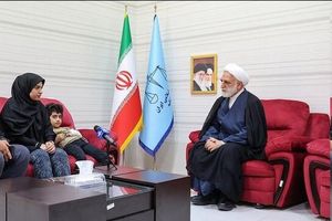 رئیس قوه قضائیه با کودک بازمانده از عملیات تروریستی حرم شاهچراغ دیدار کرد