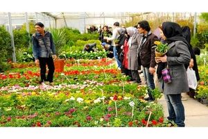 احداث بازارچه دائمی گل و گیاه در محمودآباد