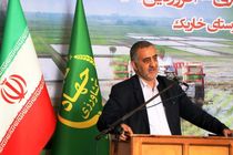 افزایش دو برابری تولید برنج با تکمیل زیرساخت شالیزارهای مازندران