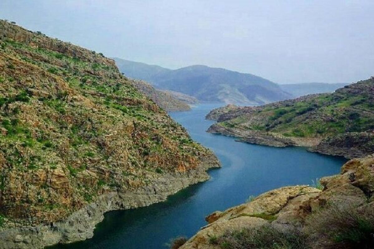 طرح نجات غریق