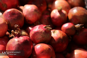 چرا انار گران شد؟