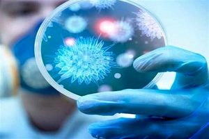 جان باختن ۵ بیمار و بستری شدن ۱۴۷ نفر