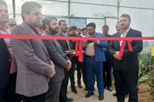 گلخانه ۹ هزار متر مربع در شهرستان دهاقان افتتاح شد